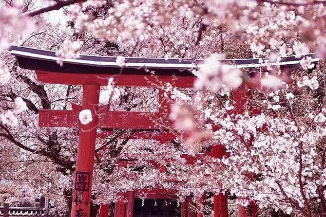Private arrival transfer from Kansai International airport to Kyoto City - Flight Tracking and the 90-Minute Waiting Buffer