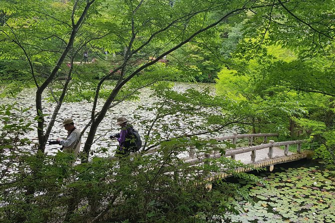 Private Car Day Trip to the Kobe Mountains, Gardens and Hot Springs from Osaka - Arima Onsen: the main event for soaking and unwinding