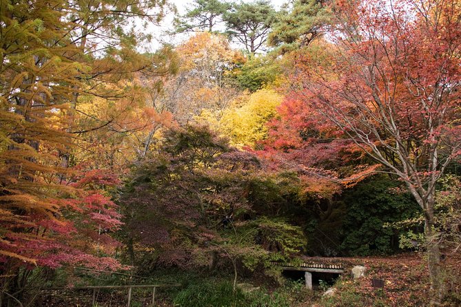 Private Car Day Trip to the Kobe Mountains, Gardens and Hot Springs from Osaka - Timing and how to plan your day with only 7 hours
