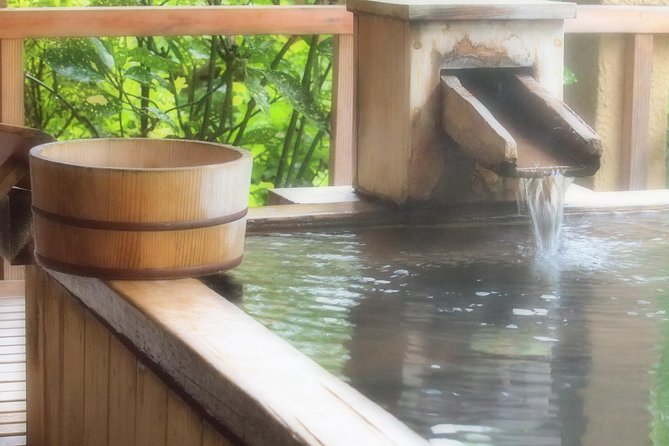Private Car Day Trip to the Kobe Mountains, Gardens and Hot Springs from Osaka - Mount Rokko Arima Ropeway: a vintage climb through the forest