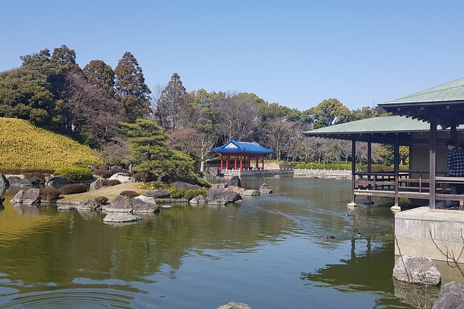 Private Car Full Day Tour of Osaka Temples, Gardens and Kofun Tombs - Sakai City Hall views, then the kofun tomb experience