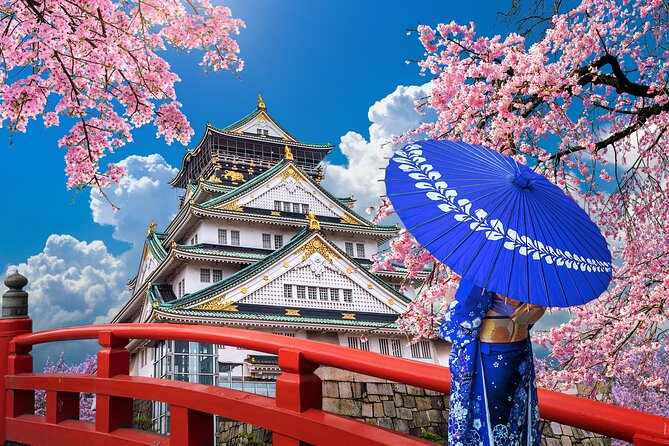 Private Day Tour in Osaka and Kyoto with charter car - Charter car logic: why this Osaka and Kyoto day feels easier