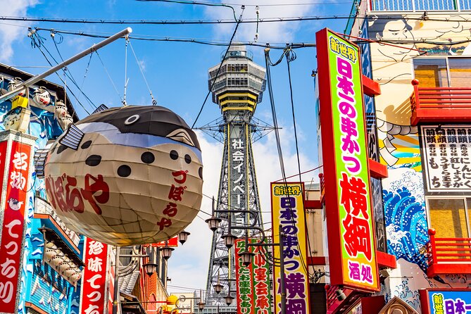 Private Day Tour in Osaka and Kyoto with charter car - Logistics that actually matter: time, tickets, parking, and lunch