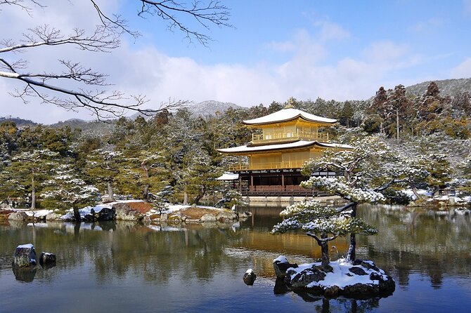 Private Day Tour in Osaka and Kyoto with charter car - Guide care: what Nakamoto San style looks like in real life