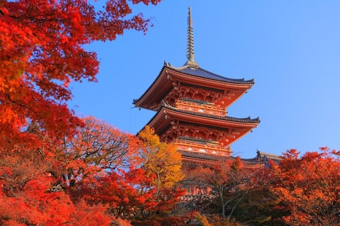 Private Day Tour in Osaka and Kyoto with charter car - Route choices: what you can tailor for your perfect day