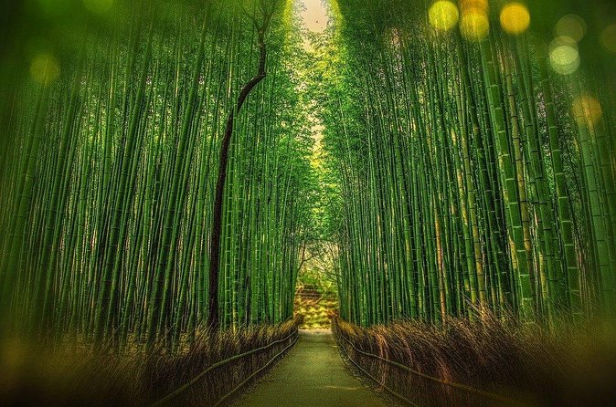 Private Hiace Hire in Kansai Area Osaka English Speaking Driver - How Arashiyama Bamboo Forest plays with your schedule