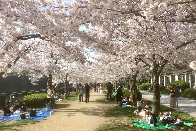 Private Osaka Tour with Hotel Meet Up - Key Highlights You Will Feel Right Away