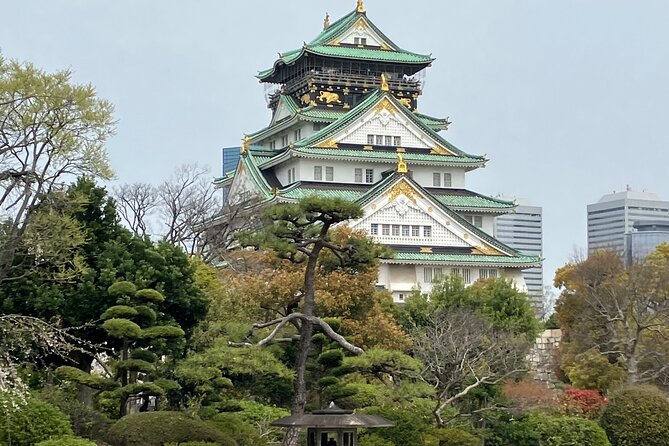 Private Osaka Tour with Hotel Meet Up - Starting With Hotel Pickup, Not the Usual Stress