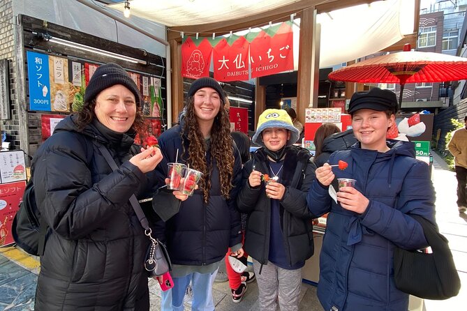 Private Tour to Nara from Osaka with English speaking Driver - Kasuga Taisha and Wakakusayama: shrine time plus viewpoint views