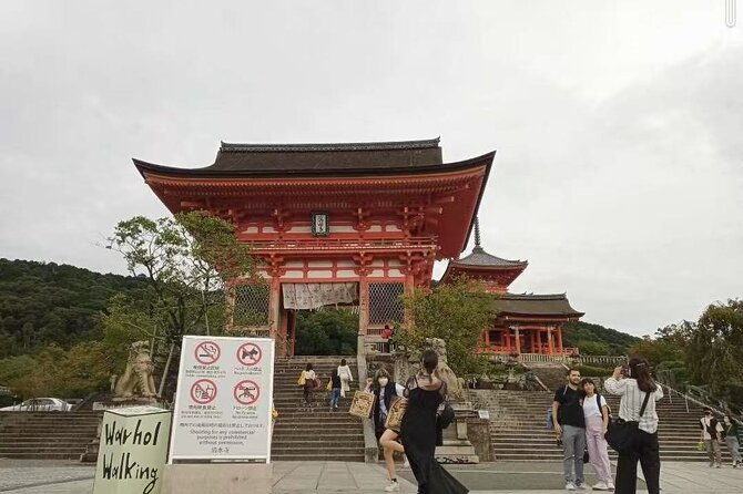 Private Transfer Between Kyoto and Kansai Airport KIX - Choosing Alphard vs Hiace: passenger count and luggage reality