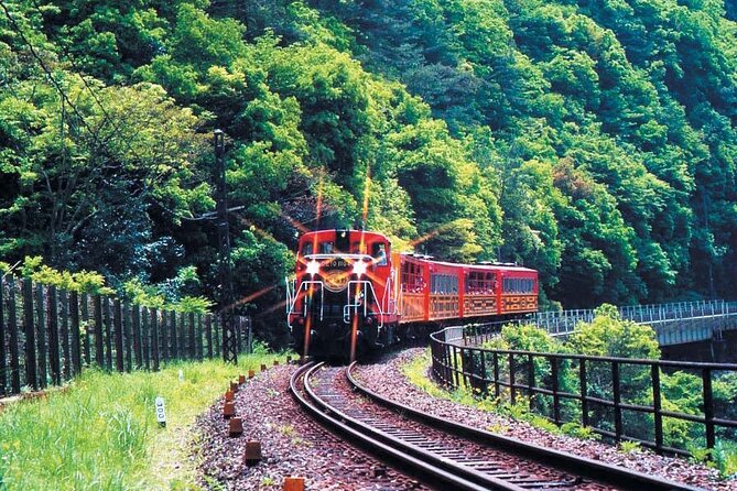 Sagano Romantic Train & Arashiyama, Kiyomizudera, Fushimi Inari Taisha Day Tour - Sagano Romantic Train: A 25-Minute Break You Will Actually Feel