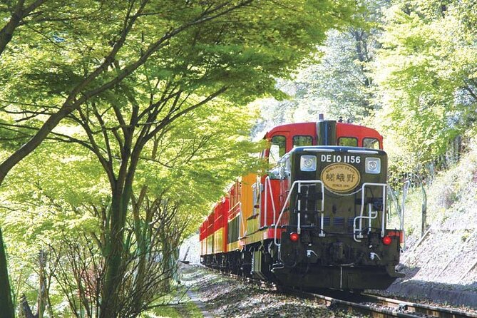Sagano Romantic Train & Arashiyama, Kiyomizudera, Fushimi Inari Taisha Day Tour - Lunch Options and How Much You Really Get for $82.78