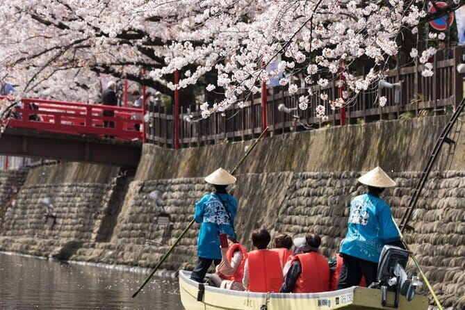 Sakura Magic and Nabana No Sato Day Tour From Osaka - Stop 1: Sekigahara-cho, Lunch That Sets the Tone