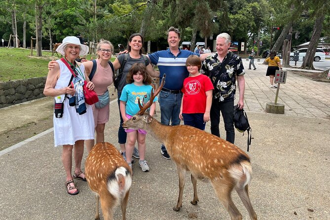 Shore Excursion: Full Day Private Nara Tour from Osaka /Kobe port - Port-to-Temple Convenience from Osaka or Kobe
