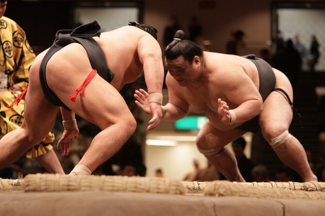 Sumo Wrestling Tournament Chair Seats & Expert Guide | Osaka Mar - Key Points You Should Know