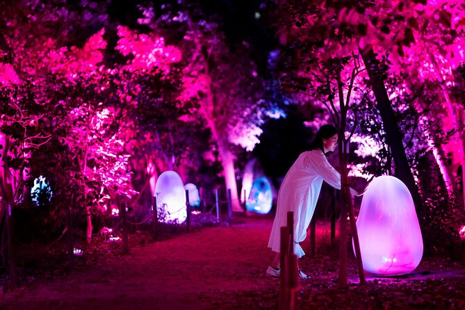 TeamLab Botanical Garden Osaka Ticket - Night hours turn Nagai Botanical Garden into a light-and-sound walk