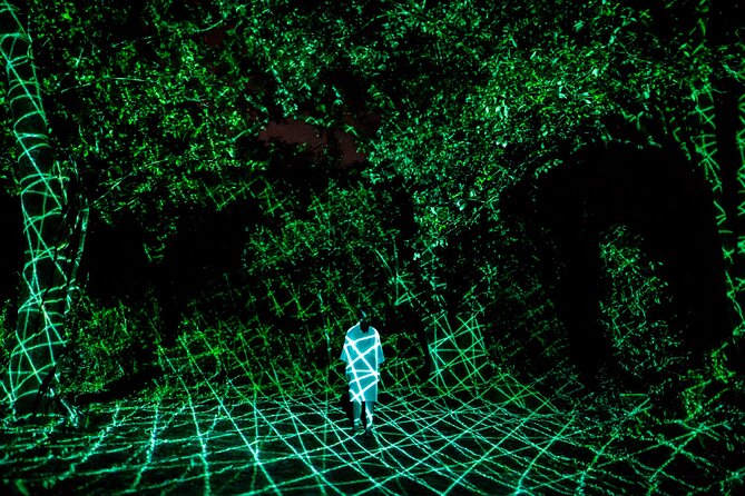 TeamLab Botanical Garden Osaka Ticket - When interaction feels real, and when it can disappoint