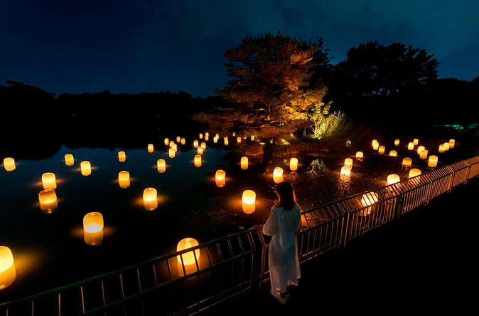 TeamLab Botanical Garden Osaka Ticket - Price and value for an Osaka night plan