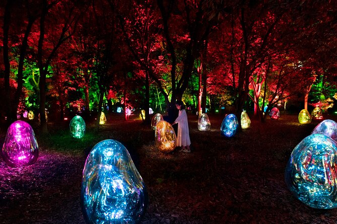 TeamLab Botanical Garden Osaka Ticket - Floating resonating lamps on Oike Lake
