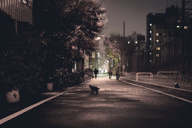 The Dark Side of Osaka Walking Tour - Stop 2: Nishinari Dobutsuen-mae, Working-Class Osaka on Real Streets