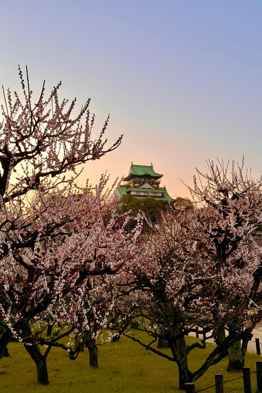 (Ticket Included) Explore Osaka Castle & Museum of History - Where you meet: 難波宮跡 (標柱) and how to get there fast