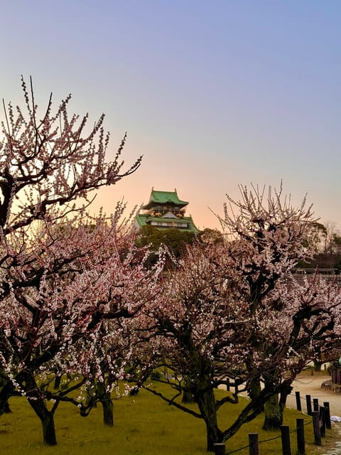 (Ticket Included) Explore Osaka Castle & Museum of History - Castle Park walking time: photo stops and small details you’d miss alone