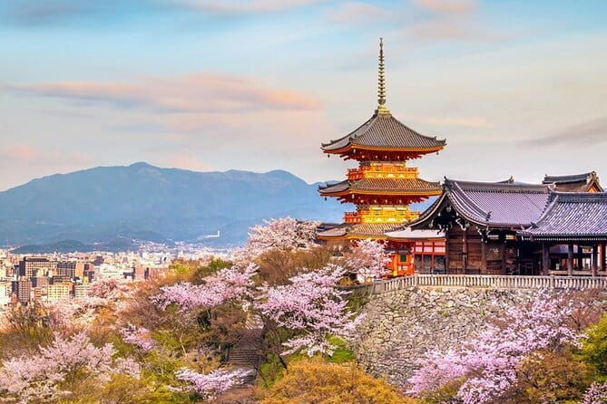Umami Town Street Food Tour - Osaka Tenmangu Shrine: a quiet reset before the street food sprint