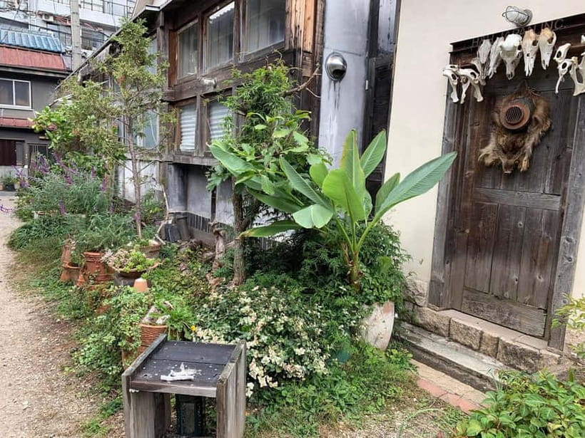 Urban Canvas: Osaka Street Art Bike Tour - Why Osaka Street Art Clicks Better on a Bike